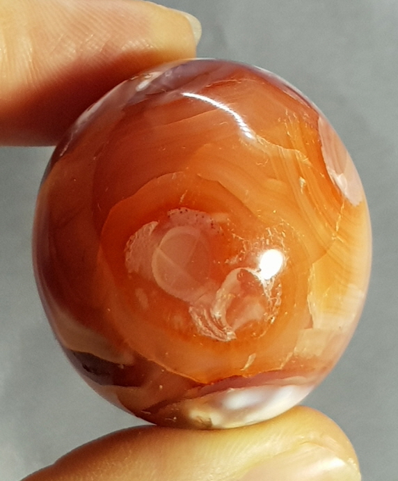 카네리안 작은 계란형