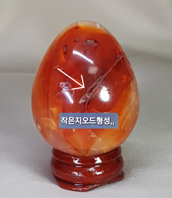 카네리안 작은계란형