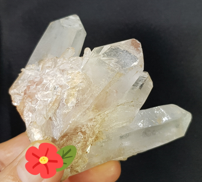 레무리안시드클러스터