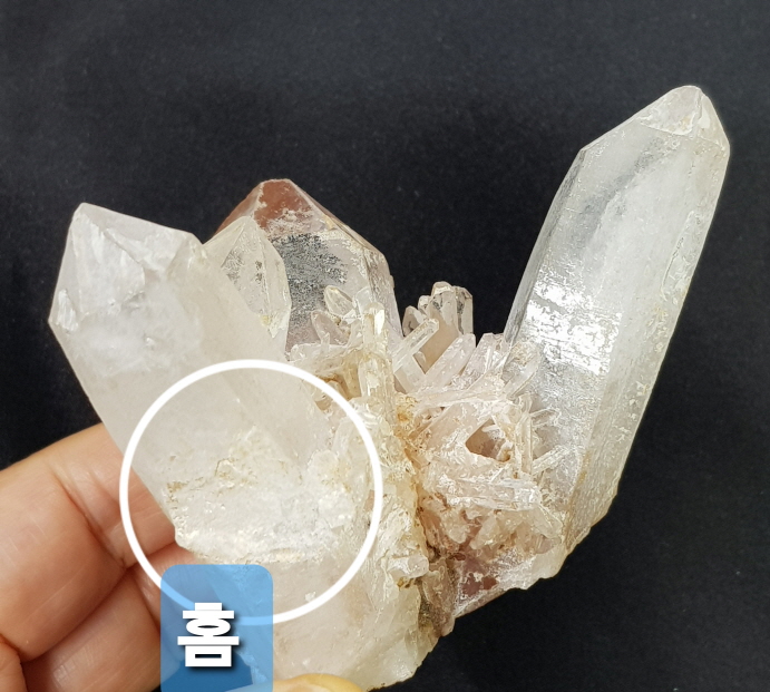 레무리안시드클러스터