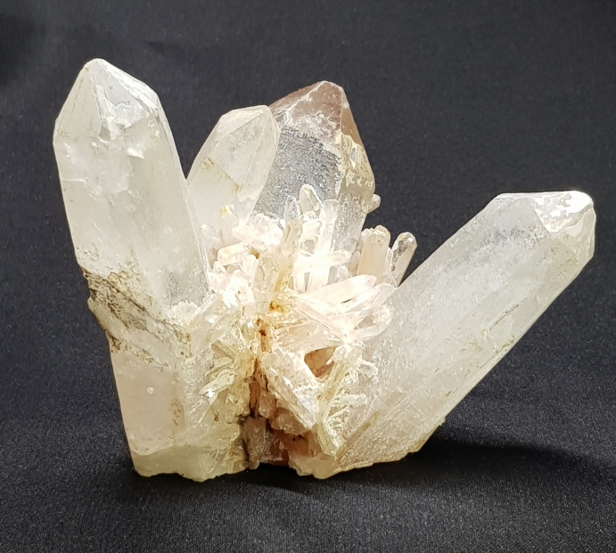 레무리안시드클러스터