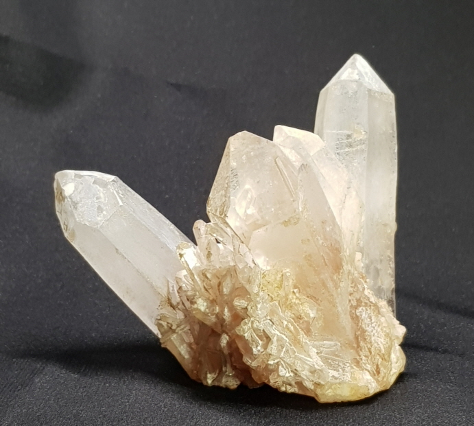 레무리안시드클러스터