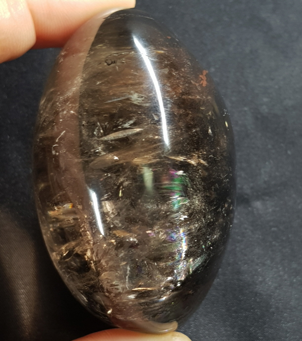 아프리카 연수정