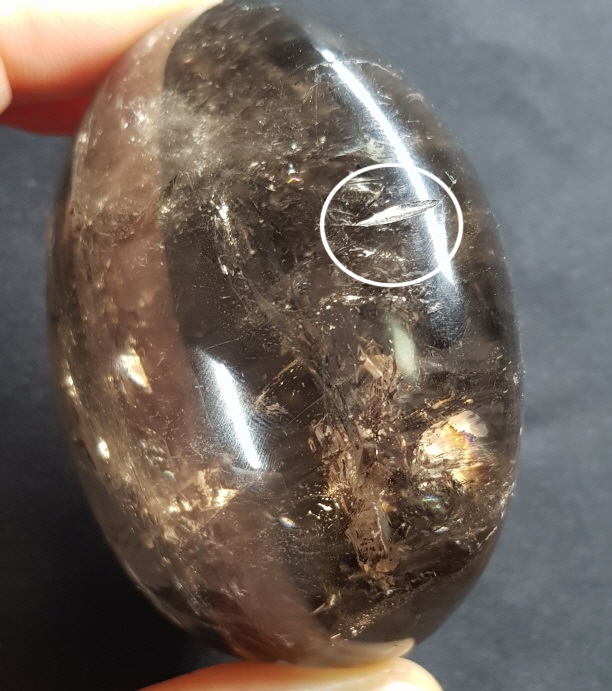 아프리카 연수정