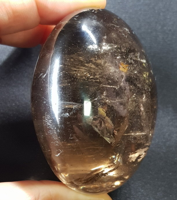 아프리카 연수정