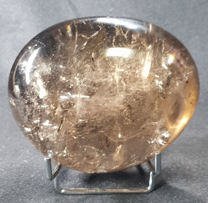 아프리카 연수정