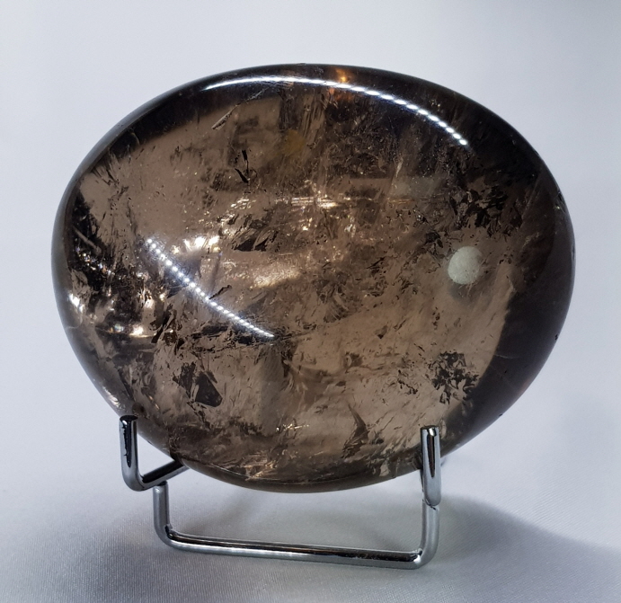 아프리카 연수정