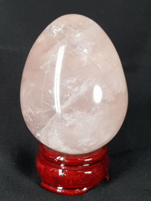 아프리카  스타 장미 수정 계란형