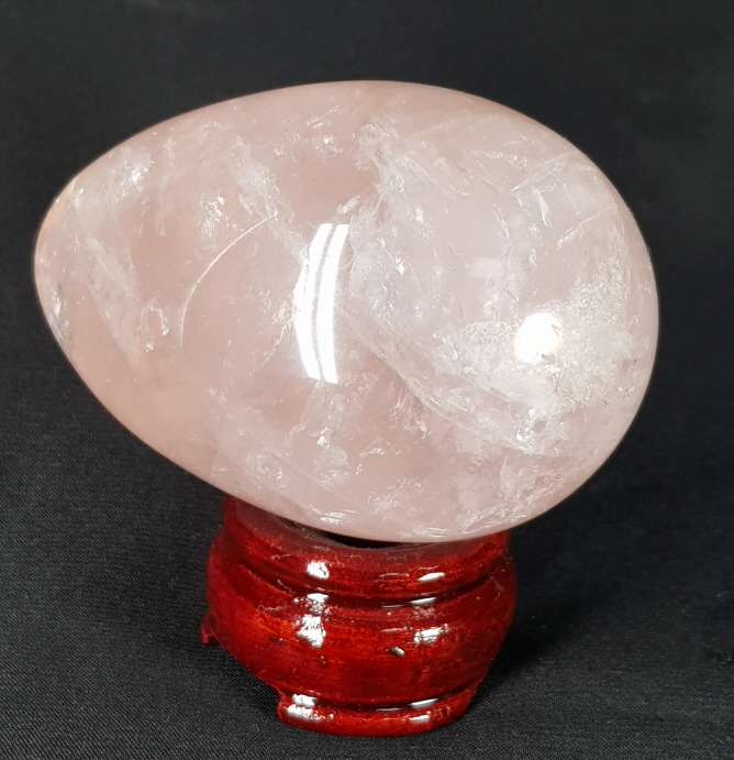 아프리카  스타 장미 수정 계란형