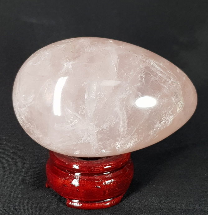 아프리카  스타 장미 수정 계란형