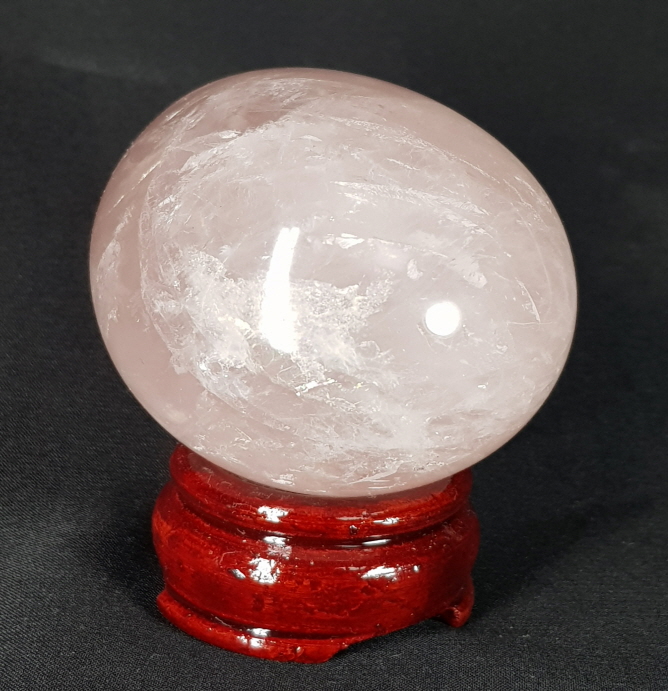 아프리카  스타 장미 수정 계란형