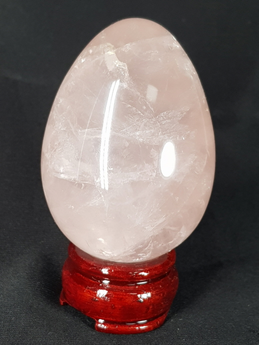 아프리카  스타 장미 수정 계란형