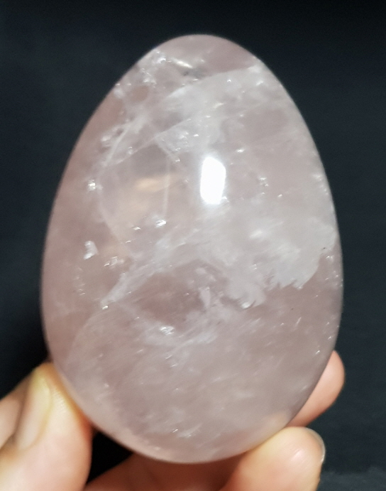 아프리카  스타 장미 수정 계란형