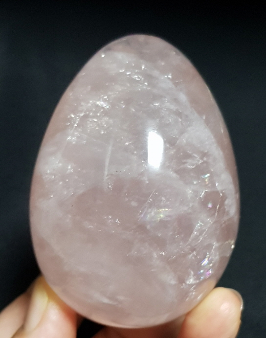 아프리카  스타 장미 수정 계란형