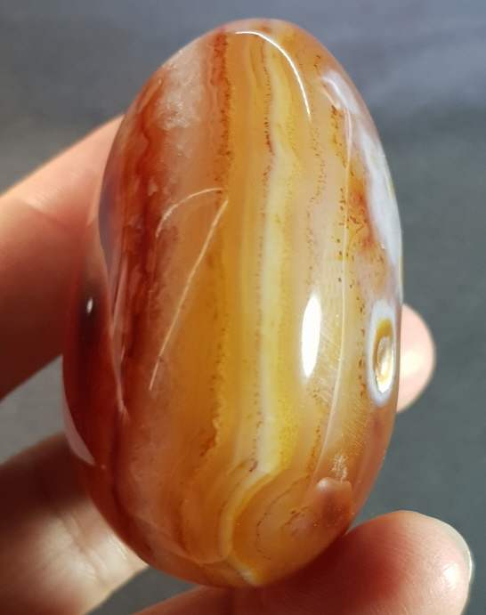 아프리카카네리안