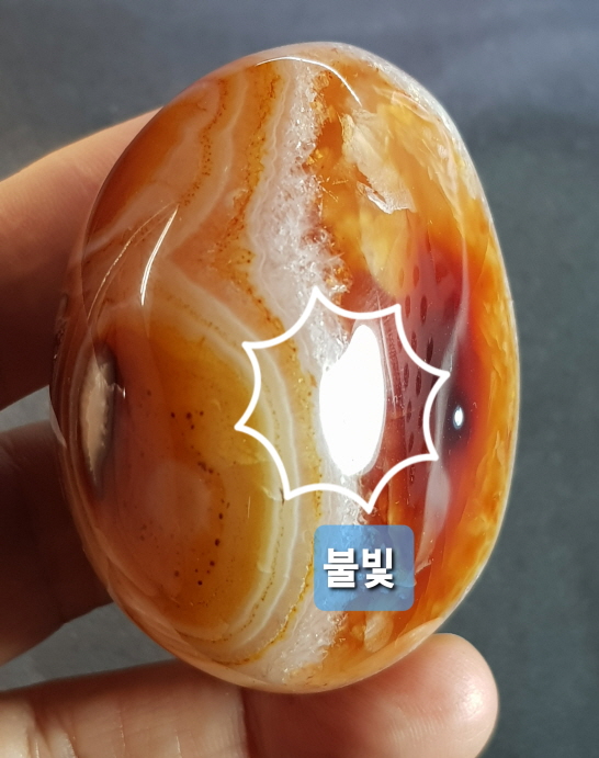 아프리카카네리안