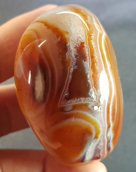 아프리카카네리안