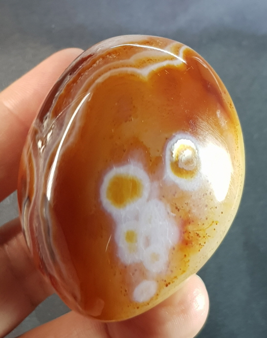 아프리카카네리안