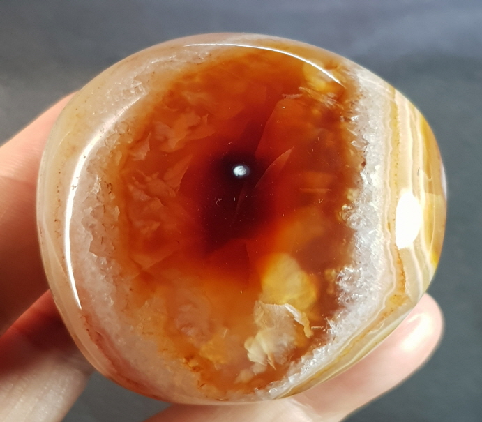 아프리카카네리안