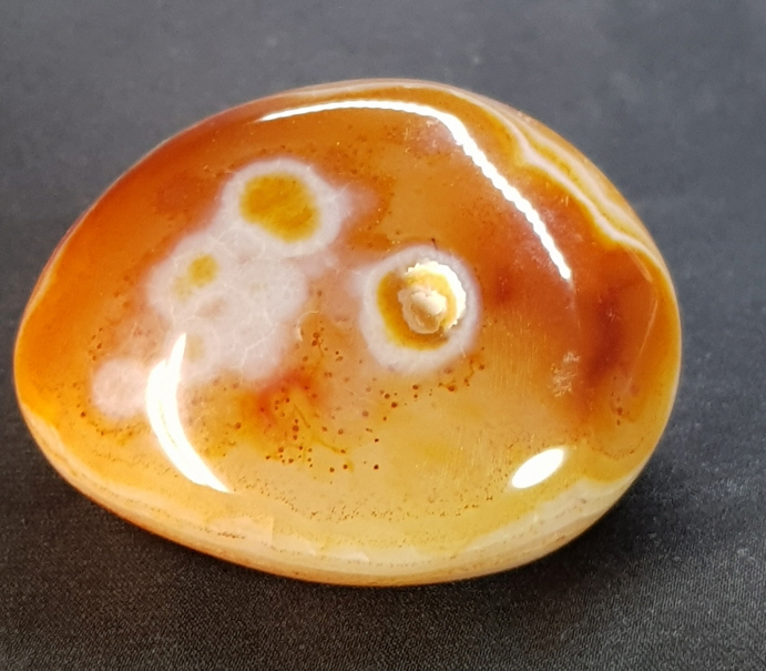 아프리카카네리안