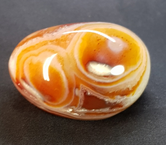 아프리카카네리안