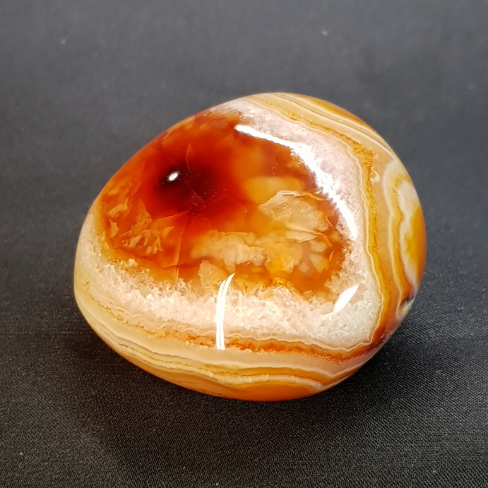 아프리카카네리안