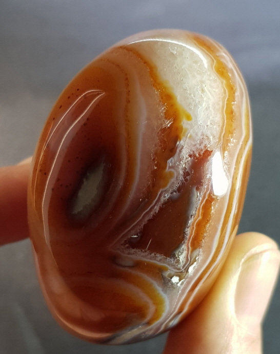 아프리카카네리안