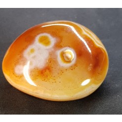 아프리카카네리안