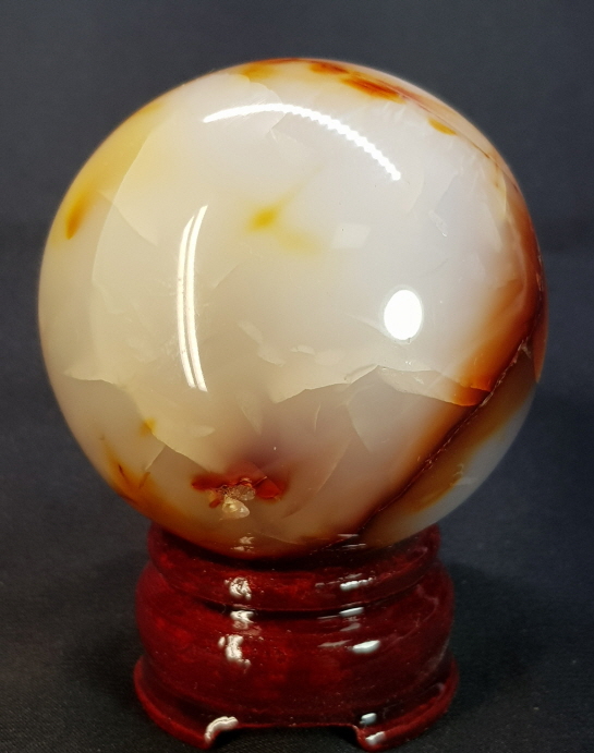 아프리카 카네리안 61mm구