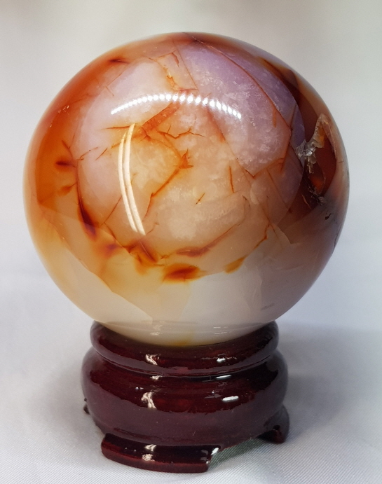 아프리카 카네리안 61mm구