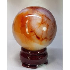 아프리카 카네리안 61mm구