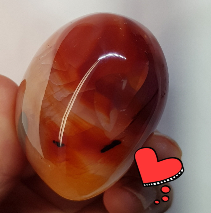 카네리안 하트형