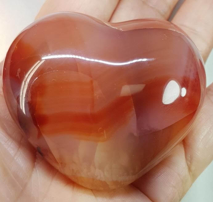 카네리안 하트형