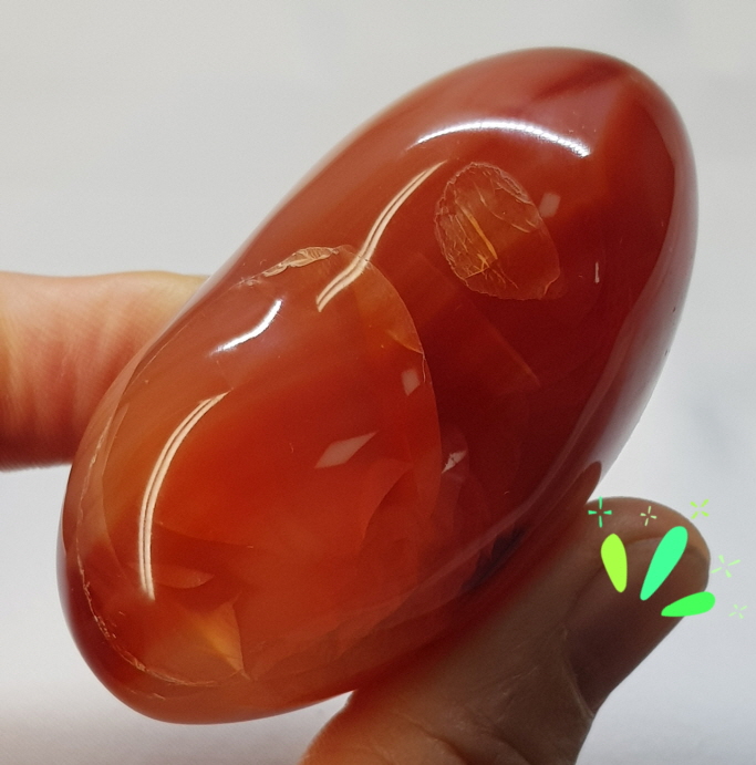 카네리안 하트형