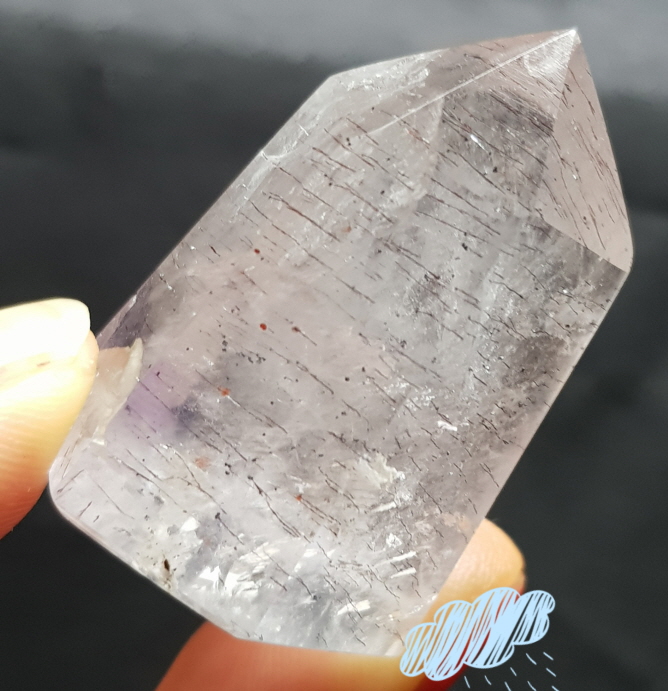 수퍼세븐패밀리 (침수정)