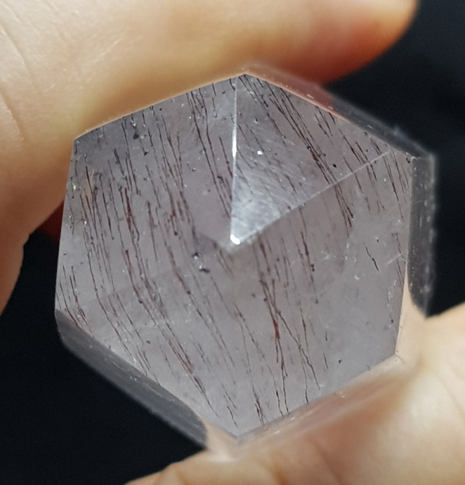 수퍼세븐패밀리 (침수정)