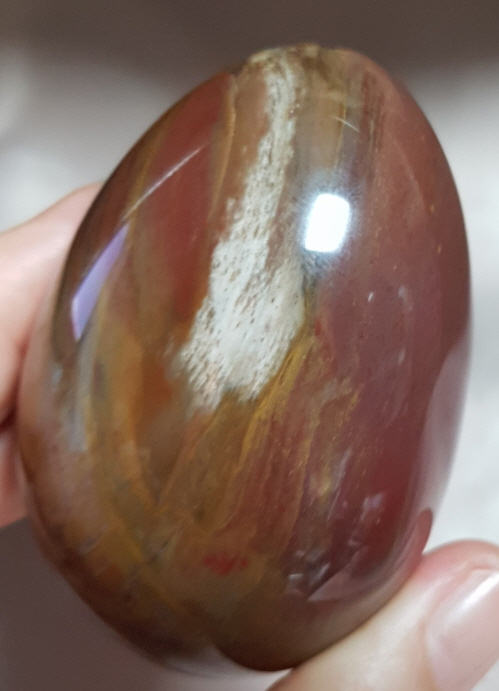 규화목(나무화석)수정 계란형