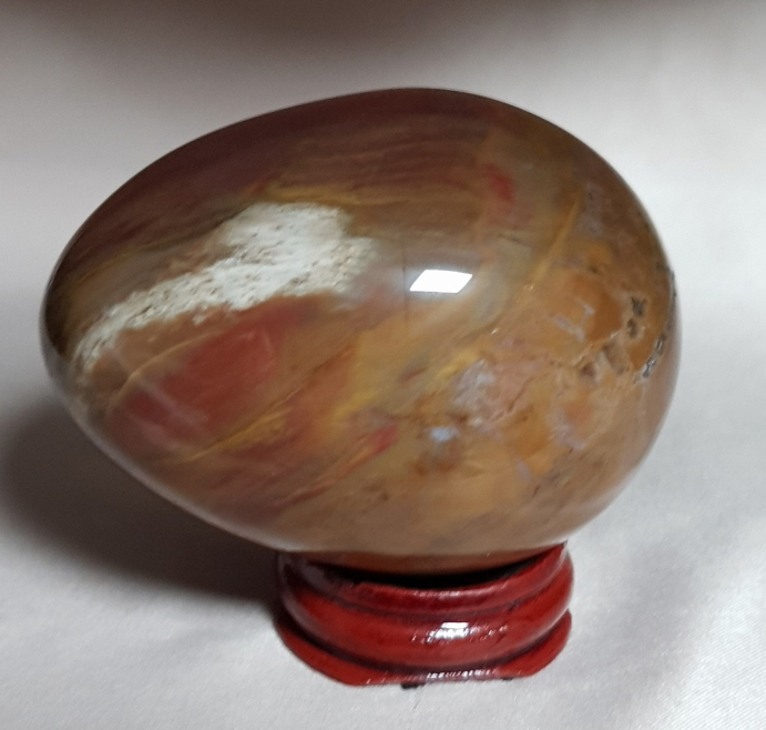 규화목(나무화석)수정 계란형