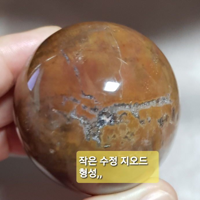 규화목(나무화석)수정 계란형