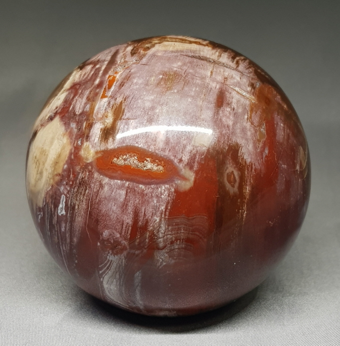 아름다운 규화목(나무화석) 66mm 구