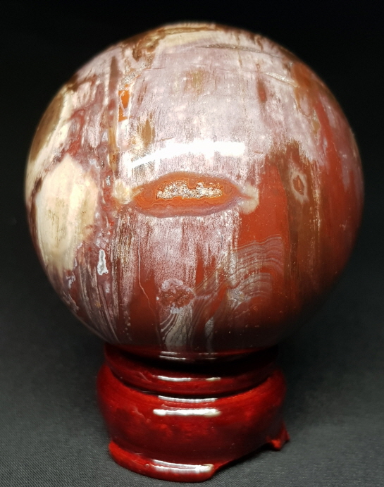 아름다운 규화목(나무화석) 66mm 구