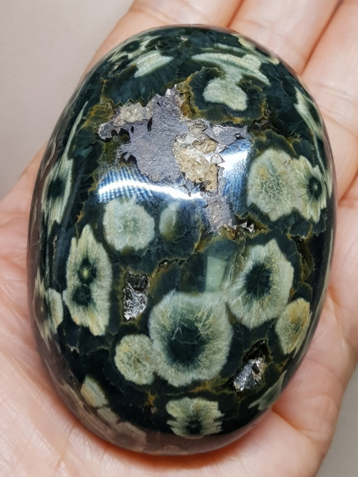 그린 플라워 자스파