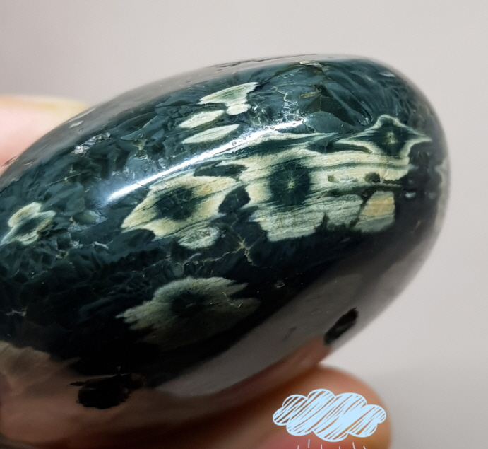 그린 플라워 자스파