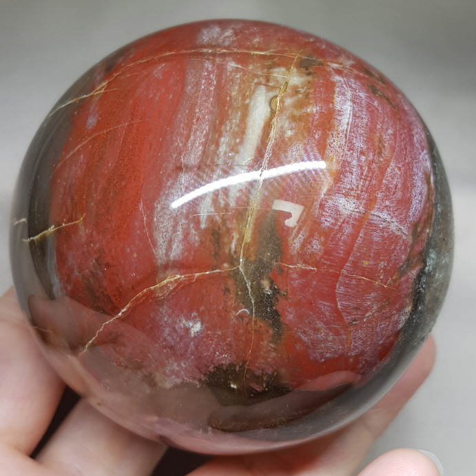 아프리카 나무화석 (규화목)수정 78mm구