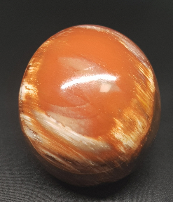 아프리카 나무화석수정(규화목) 60mm구