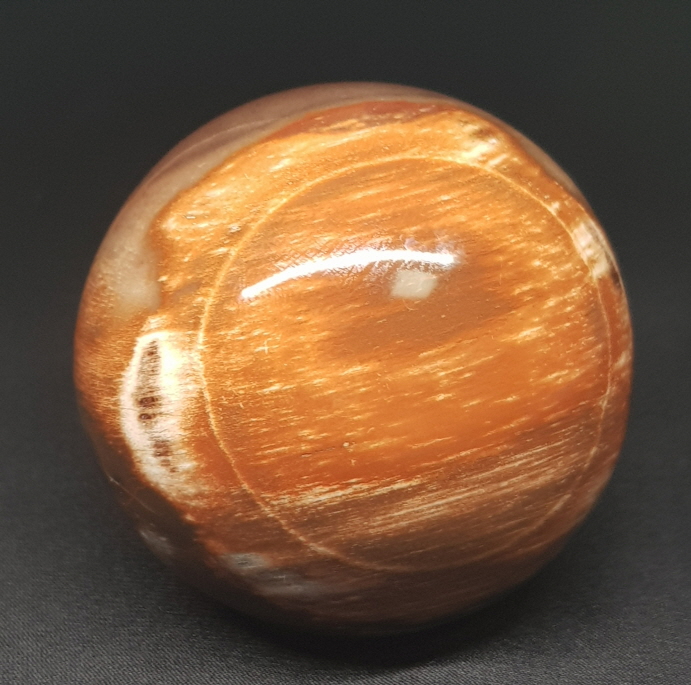 아프리카 나무화석수정(규화목) 60mm구