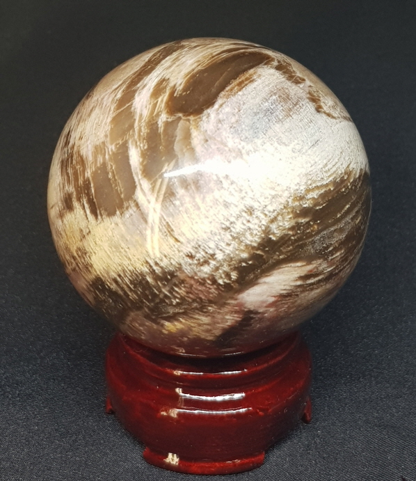 규화목(나무 화석) 61mm 구