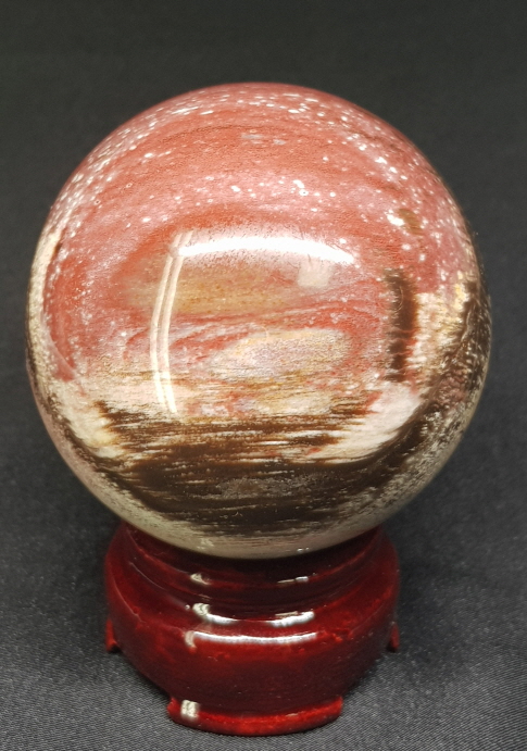 규화목(나무 화석) 61mm 구