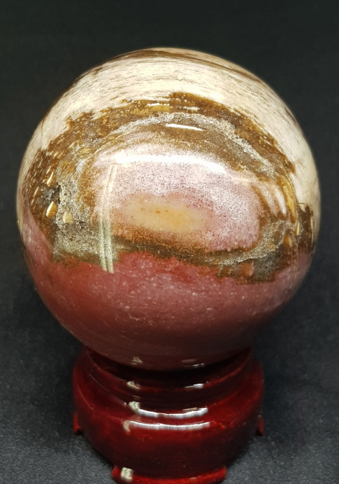 규화목(나무 화석) 61mm 구