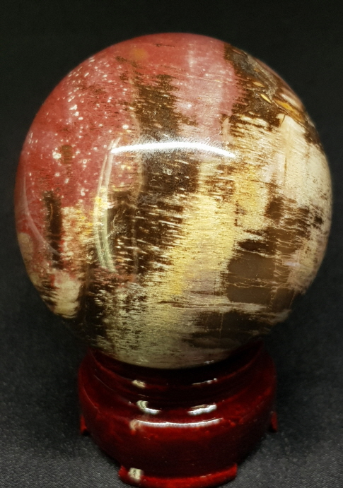 규화목(나무 화석) 61mm 구